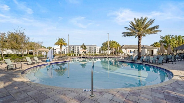 view of swimming pool with a patio