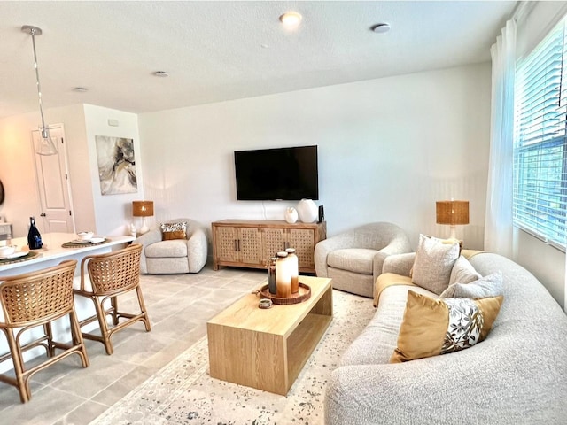 living area with healthy amount of natural light