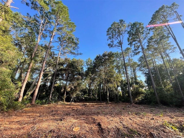 325 Redwood Blvd, Georgetown FL, 32139 land for sale