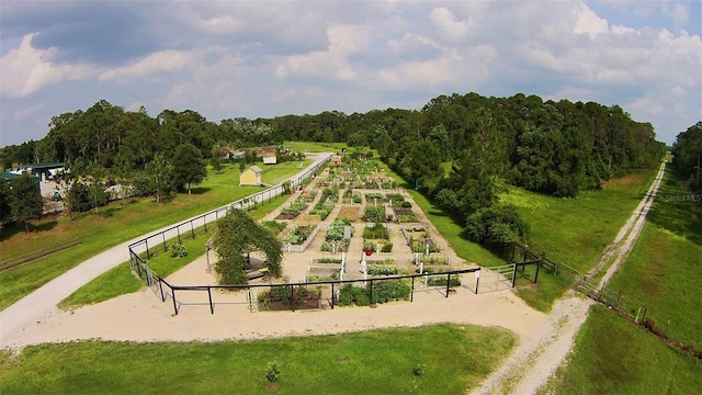 view of community with a vegetable garden, fence, and a rural view