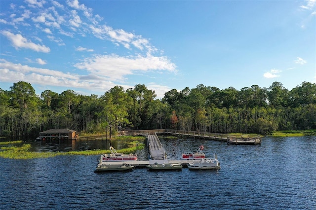 water view with a dock and a forest view