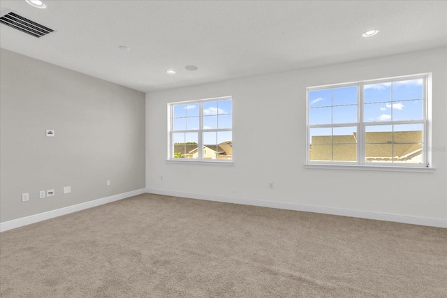 spare room featuring carpet flooring and plenty of natural light