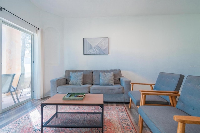 living room featuring hardwood / wood-style floors