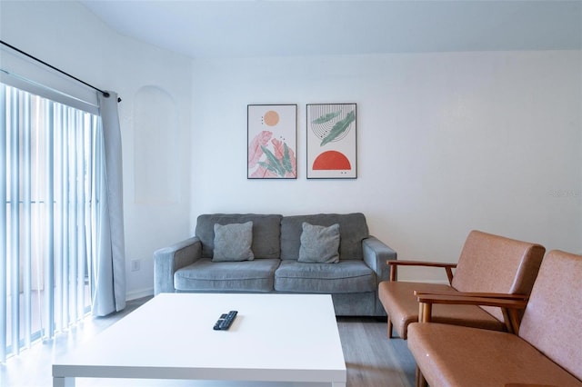 living room featuring hardwood / wood-style flooring