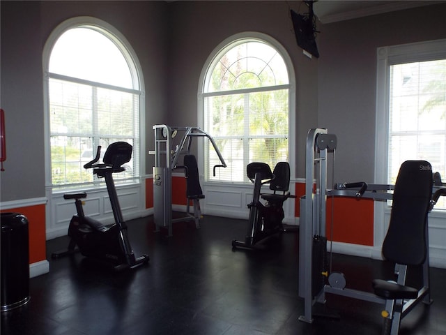 workout area featuring ornamental molding and a healthy amount of sunlight