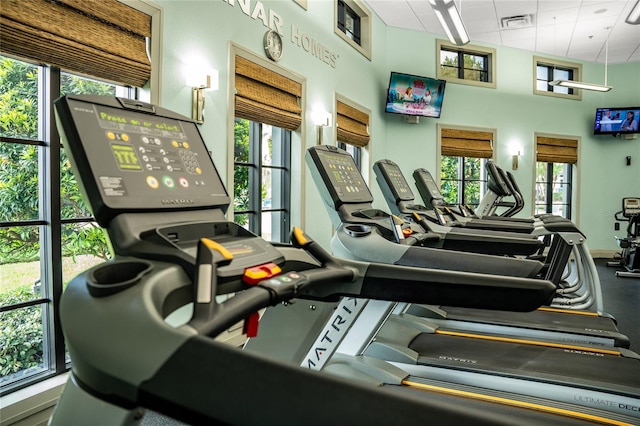 exercise room with a wealth of natural light