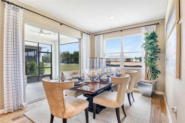 dining space with ceiling fan and light hardwood / wood-style flooring