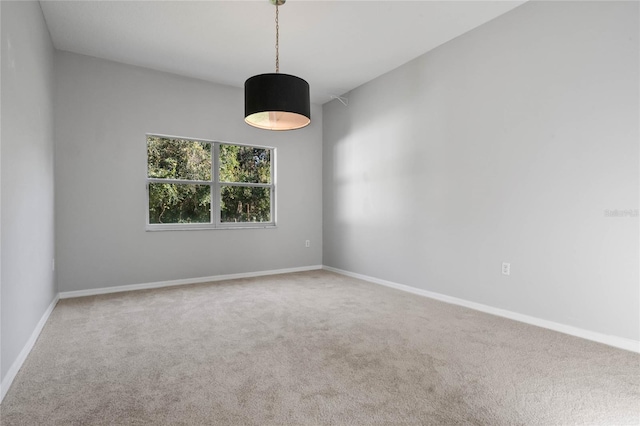 spare room featuring carpet flooring