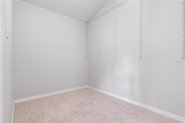 spacious closet featuring lofted ceiling and carpet