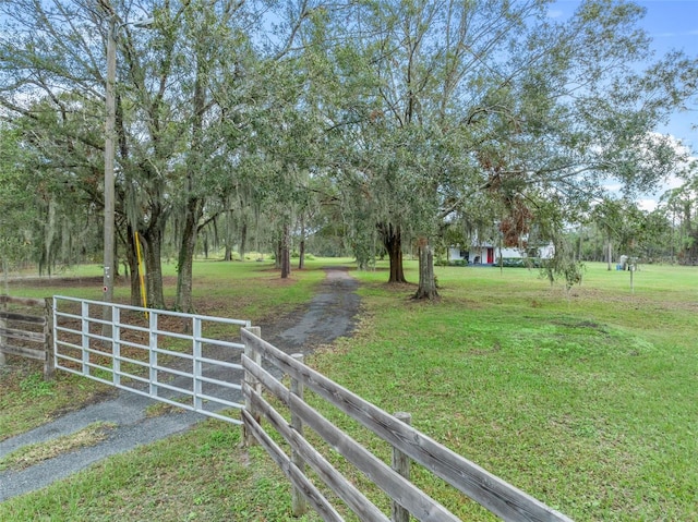 965 Keen Rd, Frostproof, FL 33843 - view of yard