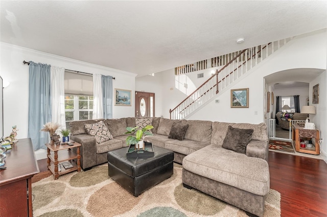 living room with ornamental molding, a textured ceiling, and wood-type flooring