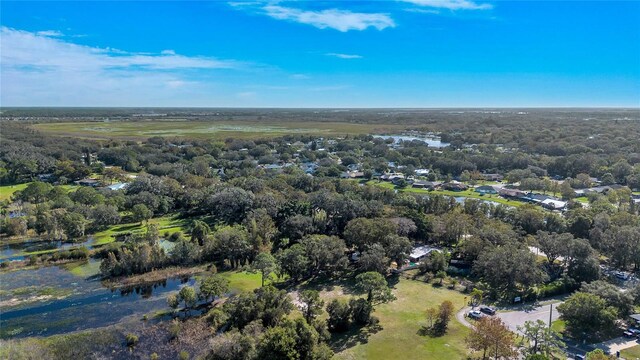 bird's eye view