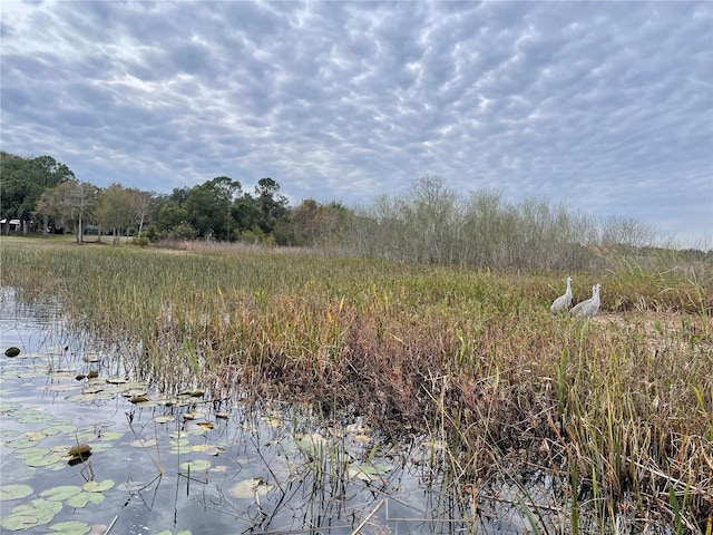 view of local wilderness with a water view