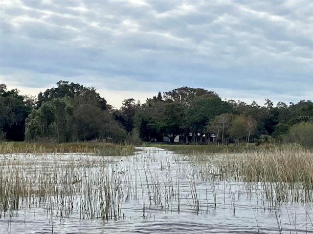 4321 Rummell Rd, Saint Cloud, FL 34769 - view of tree filled area