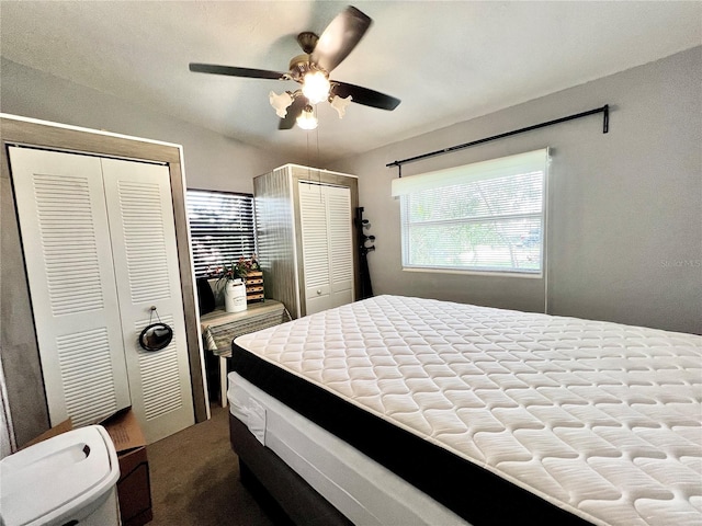 bedroom with multiple closets, carpet, and ceiling fan