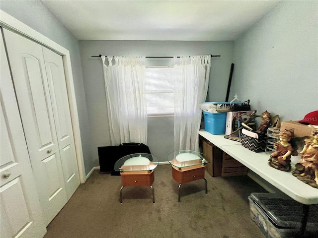 sitting room featuring carpet