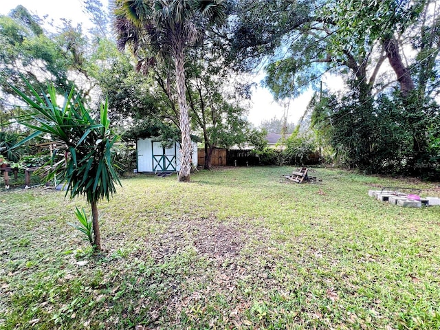 view of yard featuring a storage unit