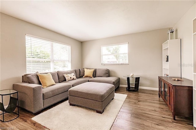 living room featuring dark wood-type flooring