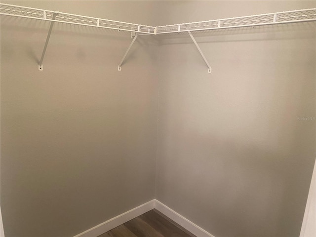 walk in closet featuring hardwood / wood-style flooring