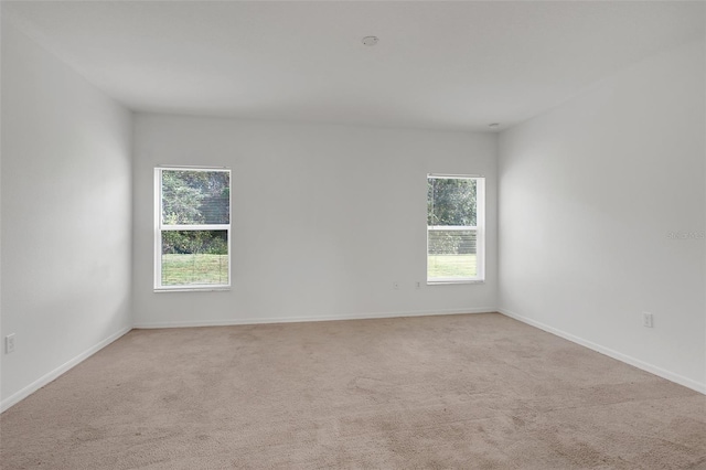 spare room featuring a wealth of natural light and light carpet