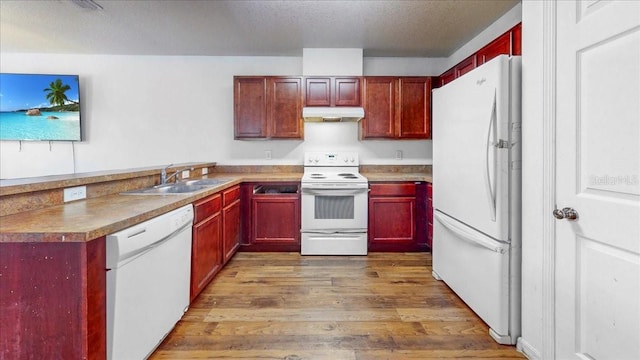 kitchen featuring white appliances, a textured ceiling, sink, and hardwood / wood-style floors