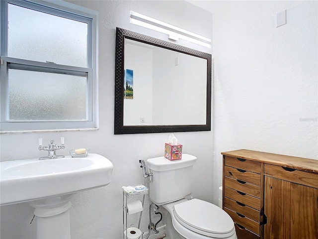 bathroom with sink and toilet