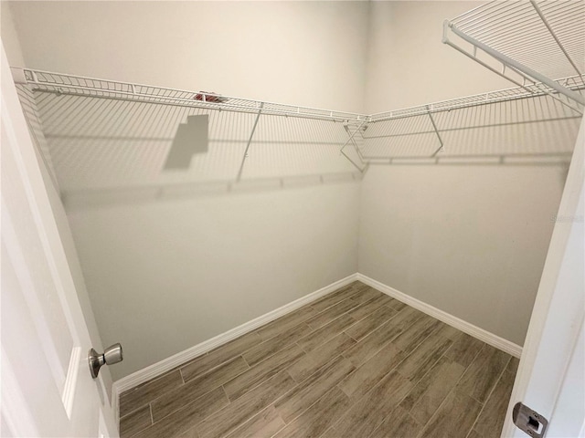 walk in closet featuring dark hardwood / wood-style flooring