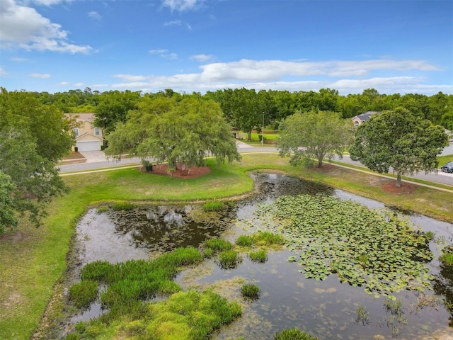 surrounding community with a lawn and a water view