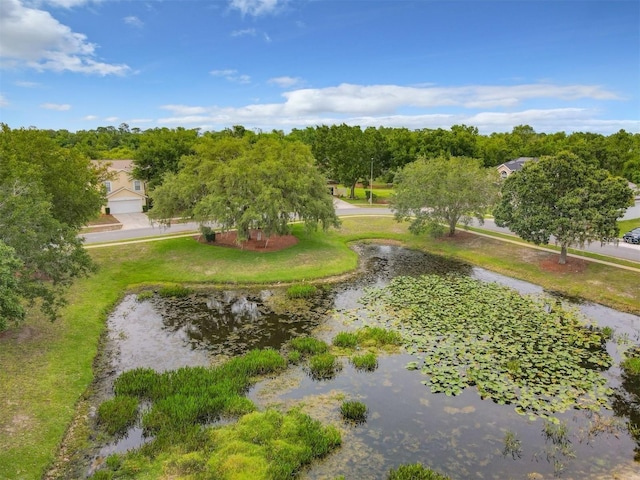 632 Pinewood Dr, Davenport, FL 33896 - view of community with a water view