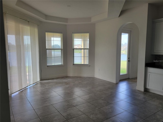 interior space featuring a wealth of natural light and a raised ceiling