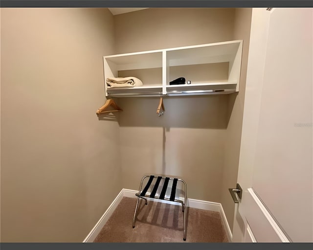 spacious closet featuring carpet floors