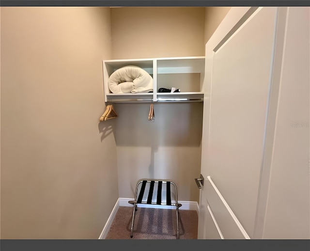 walk in closet with carpet flooring