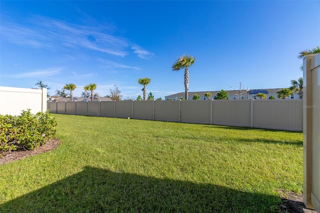 4919 Conifer Cone Dr, Kissimmee, FL 34746 - view of yard