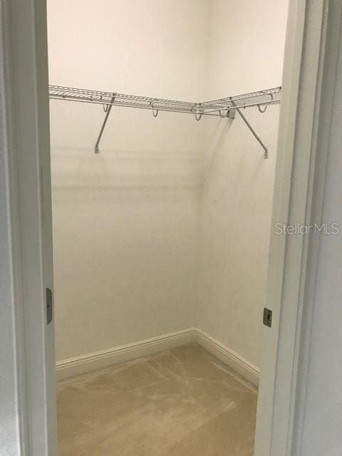 spacious closet with carpet