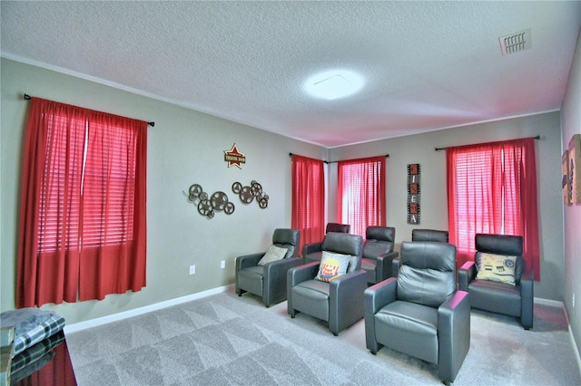 cinema room featuring a textured ceiling and carpet flooring