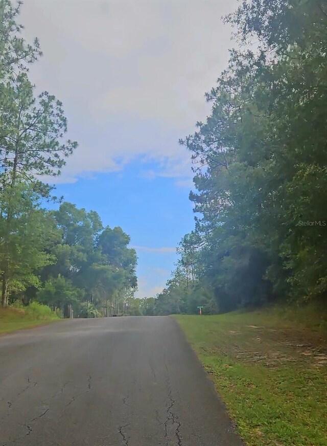 SW 206th Court Rd, Dunnellon, FL 34431 - photo 6