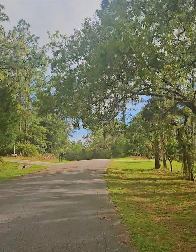 SW 206th Court Rd, Dunnellon, FL 34431 - photo 7