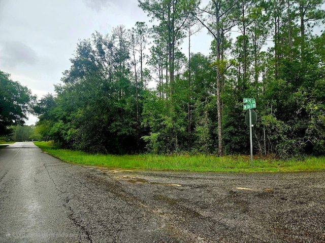 SW 206th Court Rd, Dunnellon, FL 34431 - photo 4