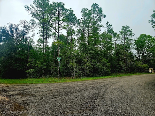 SW 206th Court Rd, Dunnellon, FL 34431 - photo 5