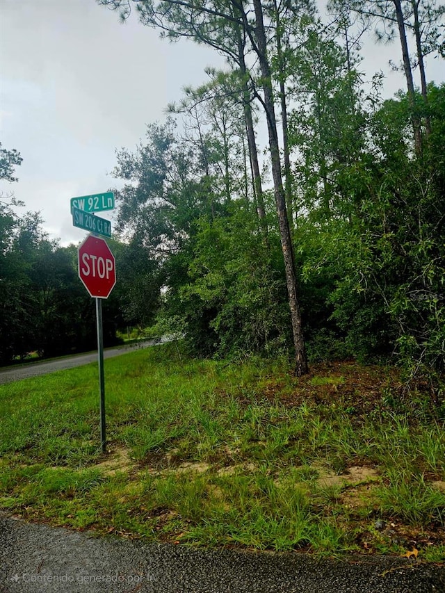SW 206th Court Rd, Dunnellon, FL 34431 - photo 3