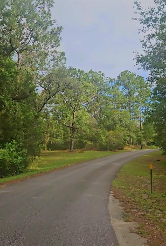 SW 206th Court Rd, Dunnellon, FL 34431 - photo 8