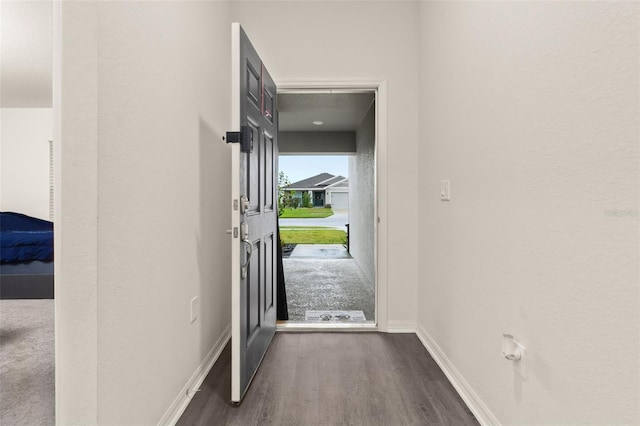 doorway to outside featuring dark hardwood / wood-style floors