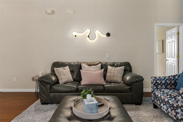 living room with wood-type flooring