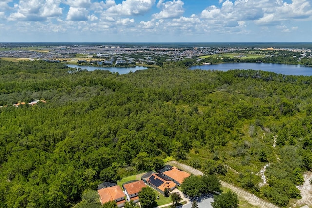 9016 Murano Mews Ct, Kissimmee, FL 34747 - photo 38