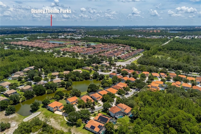 9016 Murano Mews Ct, Kissimmee, FL 34747 - photo 39