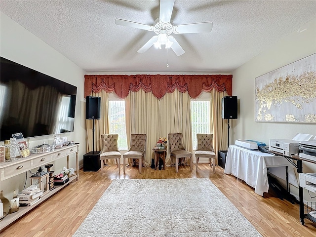 living area with light wood-type flooring, a textured ceiling, and a healthy amount of sunlight