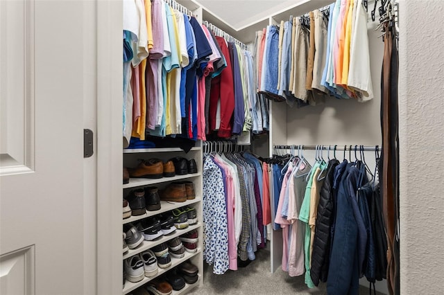 spacious closet with carpet floors