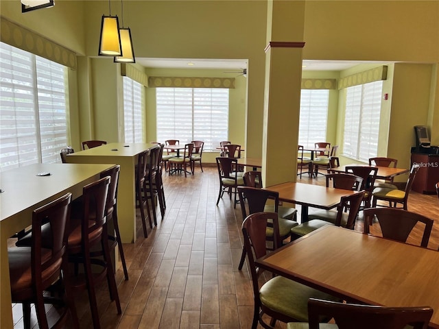 dining space featuring a wealth of natural light and dark hardwood / wood-style floors