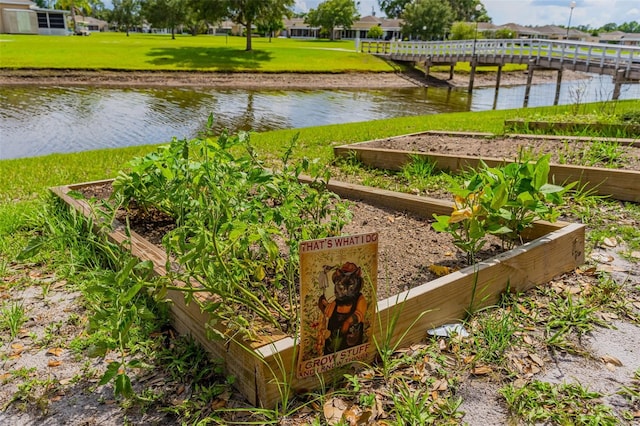 view of yard with a water view