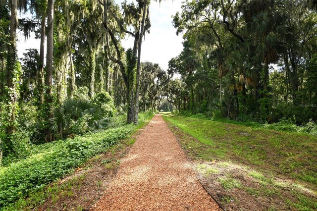 4060 Bannock Ave, Tavares, FL 32778 - view of home's community featuring a wooded view